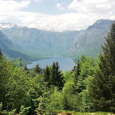 Apartment Ana Bohinji-tó Kültér fotó