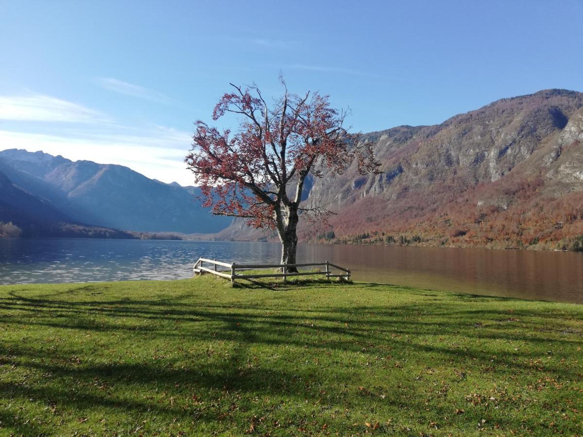 Apartment Ana Bohinji-tó Kültér fotó