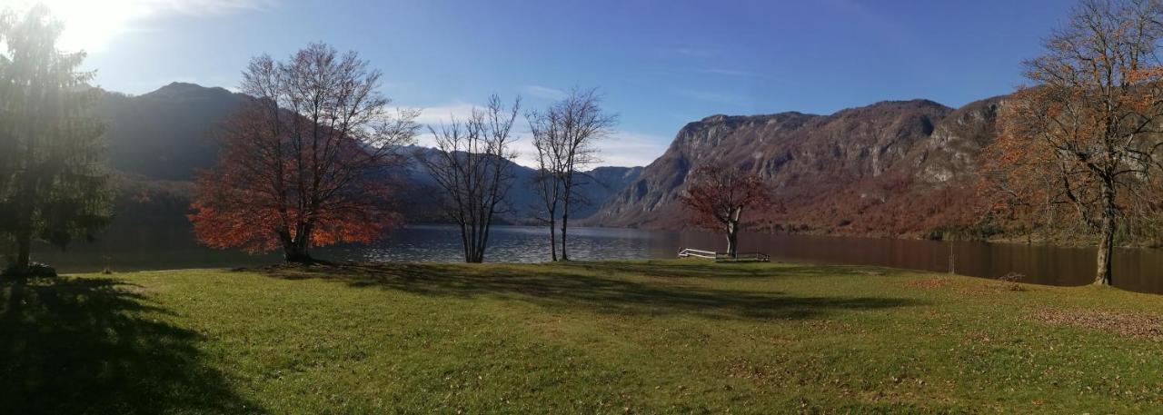 Apartment Ana Bohinji-tó Kültér fotó