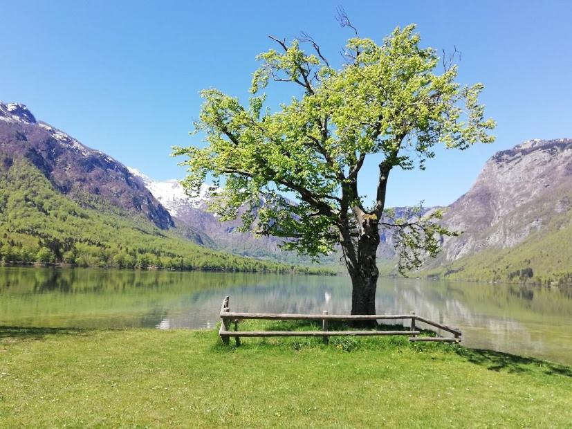 Apartment Ana Bohinji-tó Kültér fotó