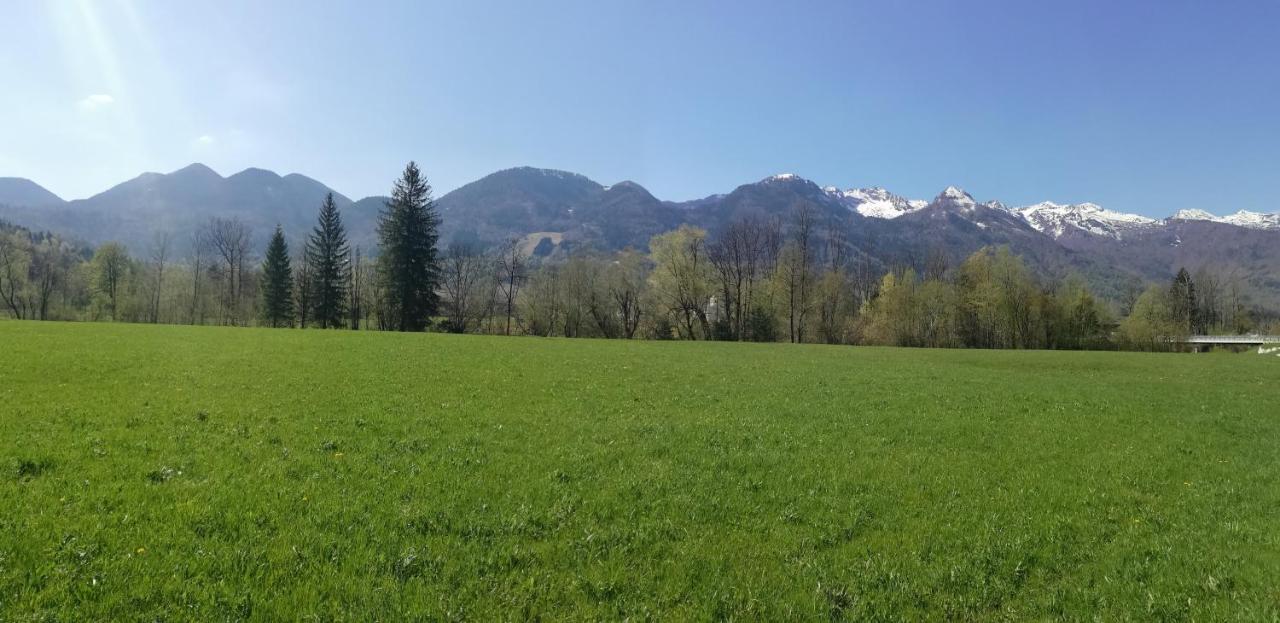 Apartment Ana Bohinji-tó Kültér fotó