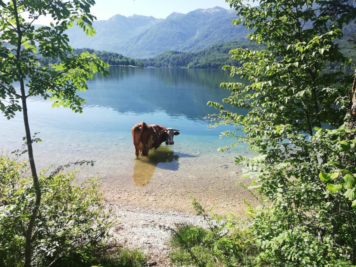 Apartment Ana Bohinji-tó Kültér fotó