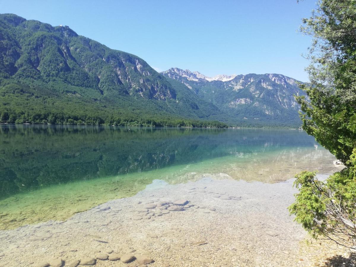 Apartment Ana Bohinji-tó Kültér fotó