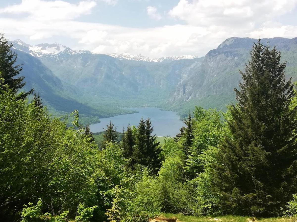Apartment Ana Bohinji-tó Kültér fotó