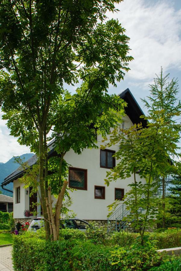Apartment Ana Bohinji-tó Kültér fotó