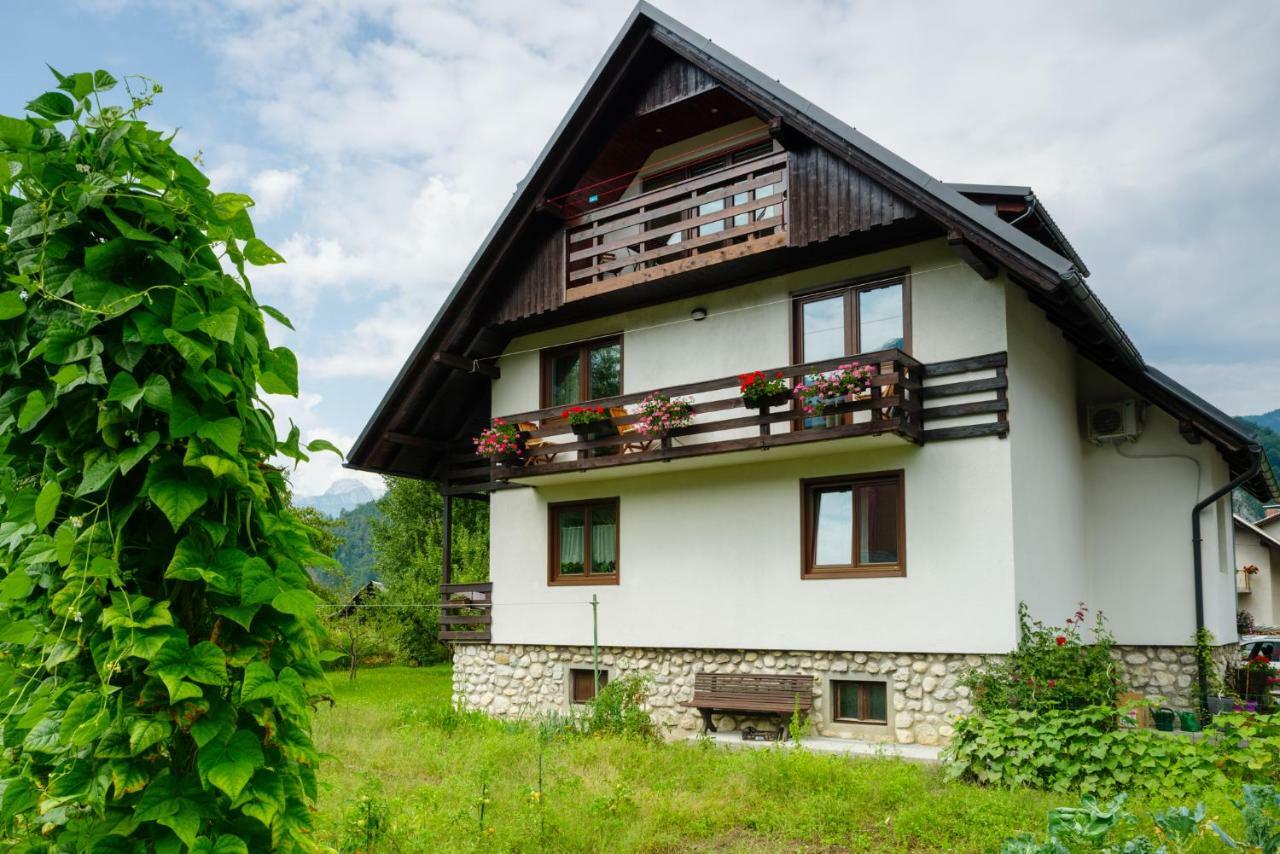 Apartment Ana Bohinji-tó Kültér fotó